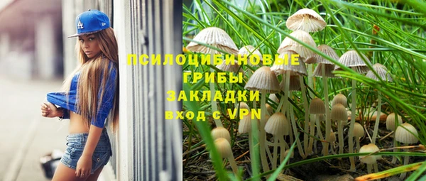 соль ск Абаза