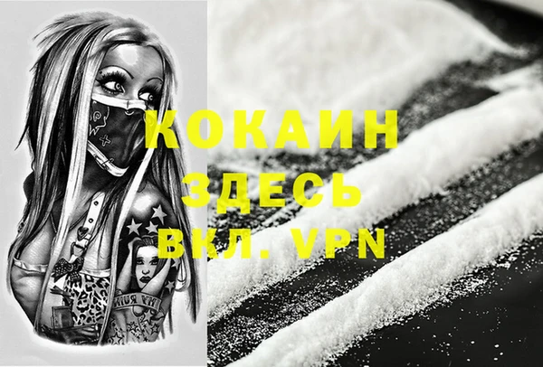 шишки Абинск